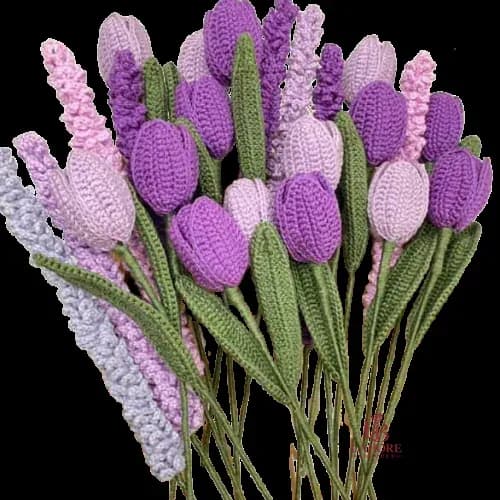 Tulip Lavender