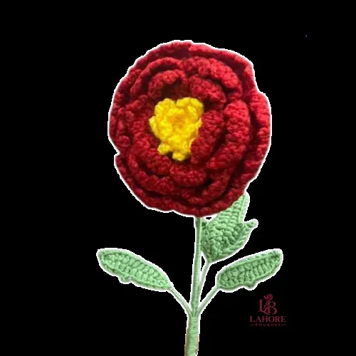 Crochet Peonies