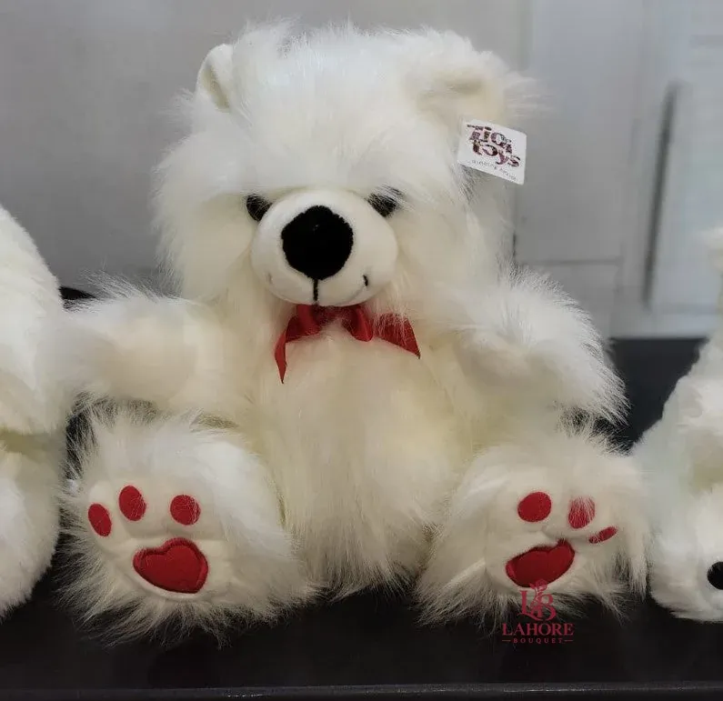 Beautiful Hairy Teddy