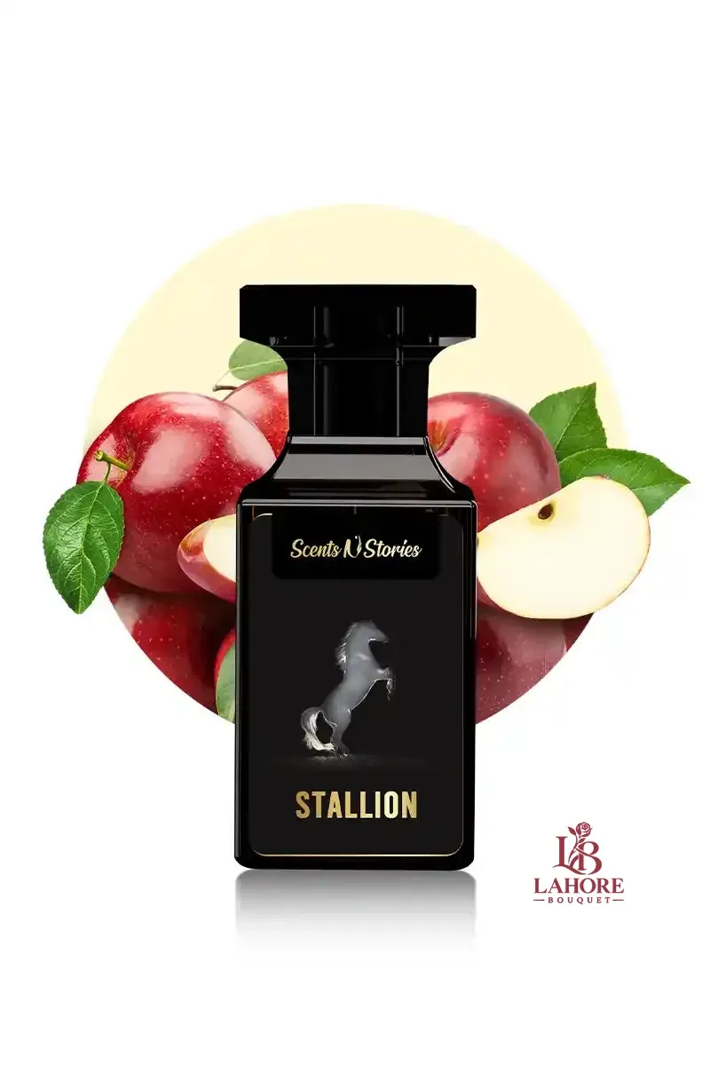 Stallion - 50ml
