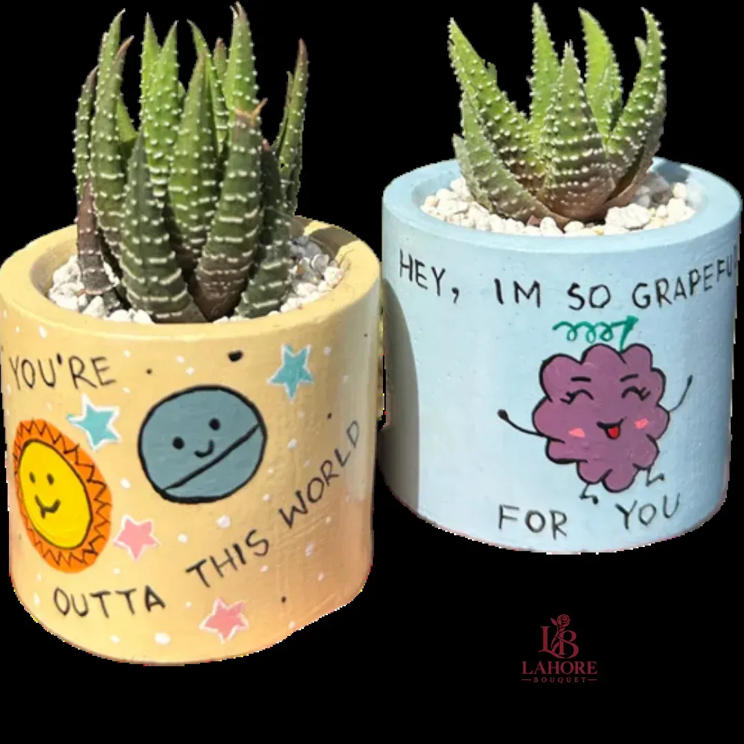 Painted Planters (Indoor Plants)